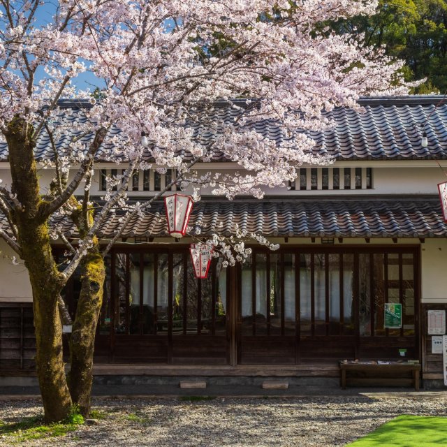 Makino Park